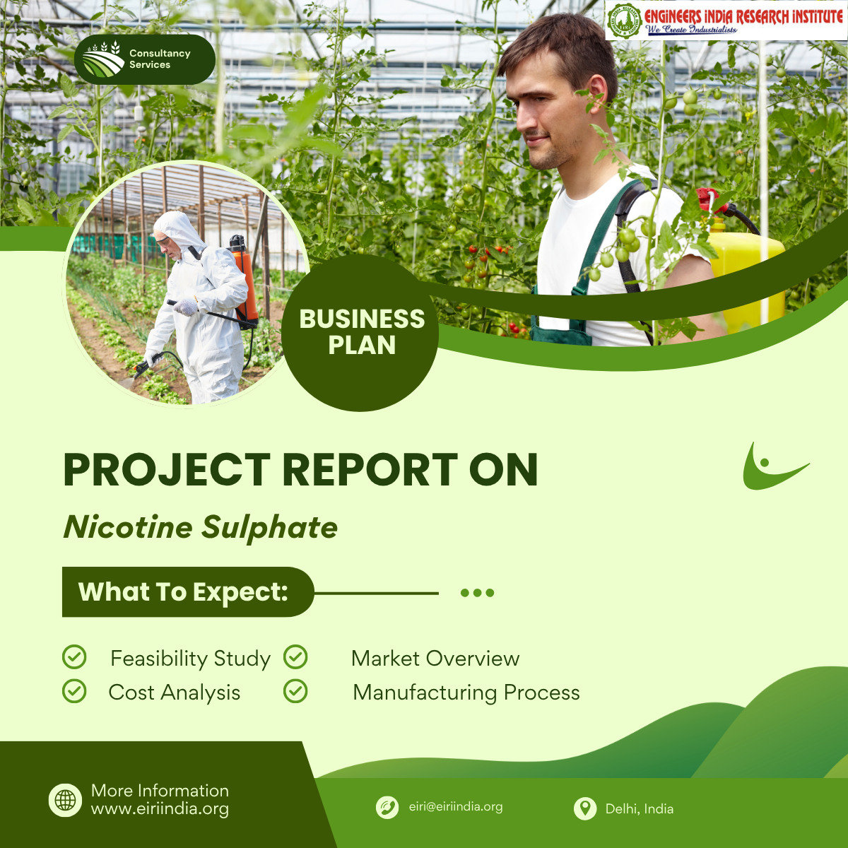 Detailed Project Report on nicotine sulphate (cap: 400 kg/day)
